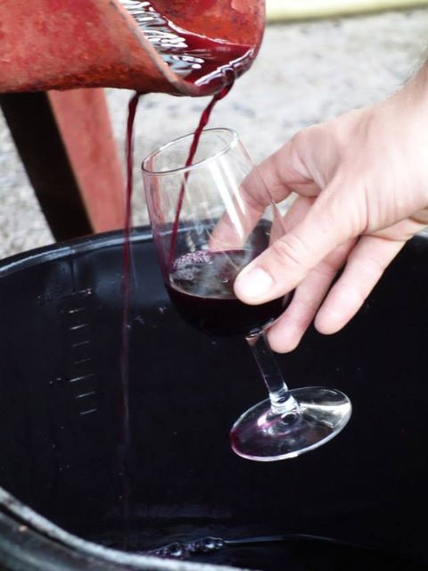 vins-inebriati