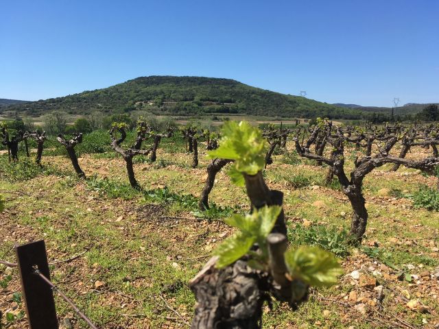 Domaine de l’Anqueven